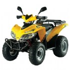 三陽機車 TrackRunner 200 (ATV)