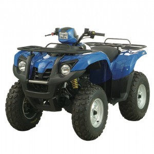 QuandRaider 600 (ATV)，按一下看放大圖