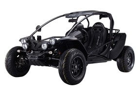 BUGGY 600i，按一下看放大圖