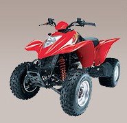 Mongoose 250 (ATV)，按一下看放大圖